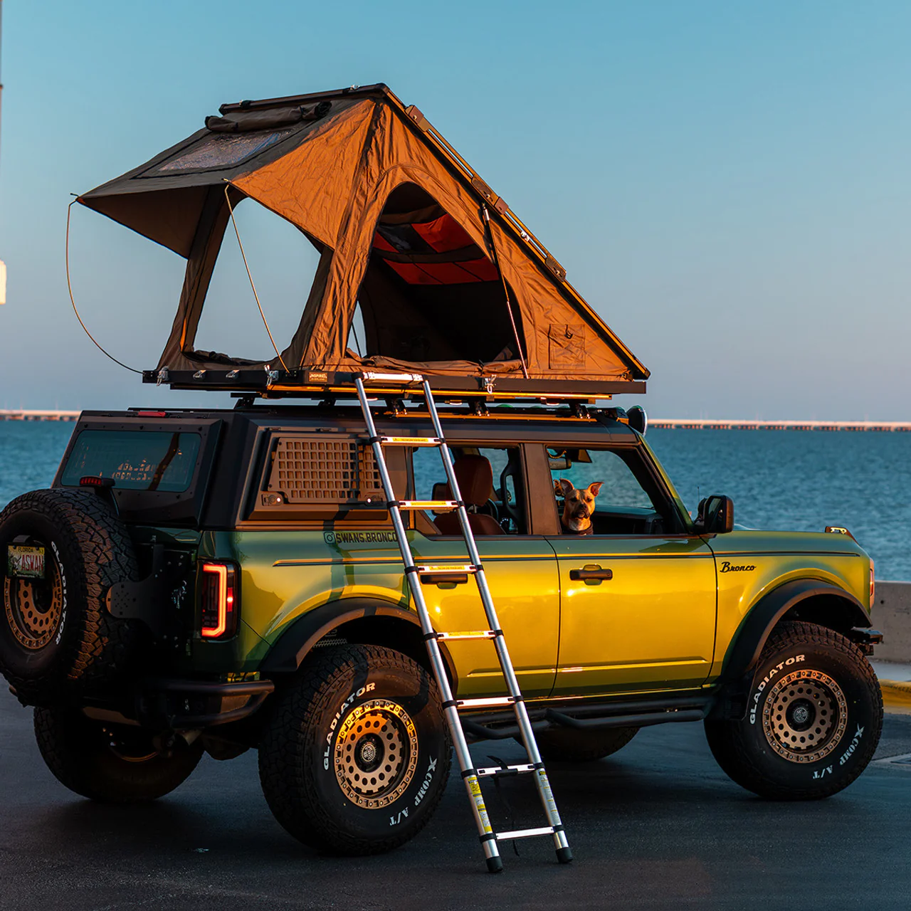 Armadillo Designs Roof Rack - Image 3